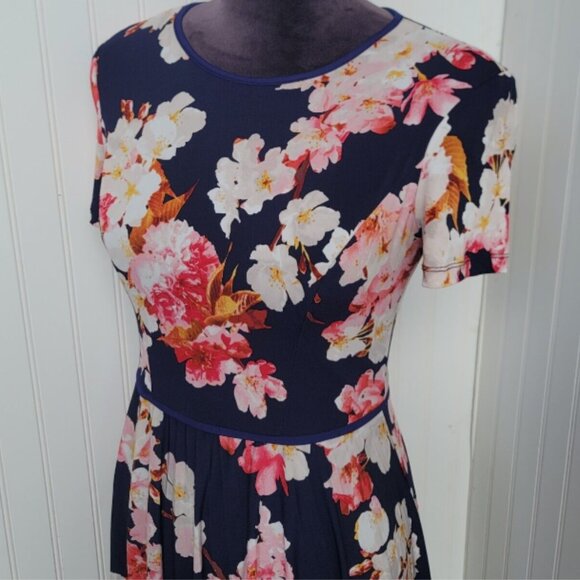 Brand New Maggy London Women's Floral Pleated Dress - Picture 6 of 9